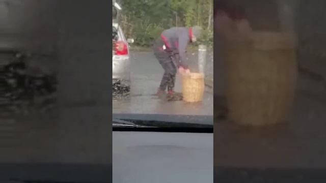 непонятно, зачем он это делает.mp4 смотреть онлайн