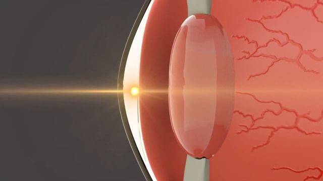 How Our Eyes Work? - Senses for Kids смотреть онлайн