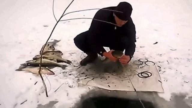 Зимняя рыбалка. Мега улов.Winter fishing. Mega catch смотреть онлайн