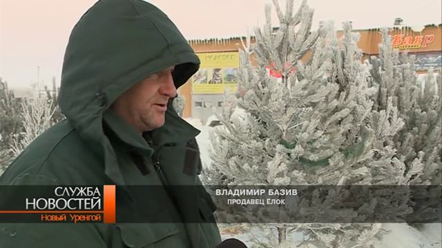 Новоуренгойцы отдают предпочтение живым символам года. смотреть онлайн