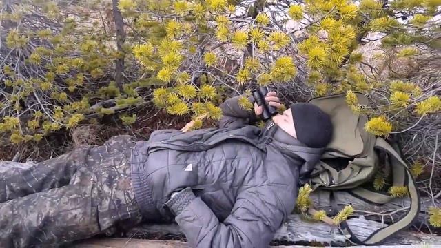 Весенняя охота на гуся 2017, на болоте смотреть онлайн