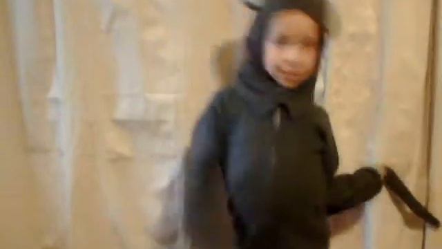 I'm a cat, you know it! смотреть онлайн