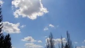 Сергей Безруков «От чего так в России березы шумят..»
