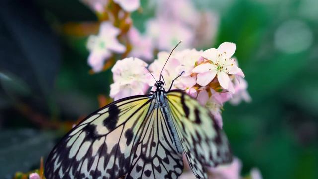 "Десятый шаг". 30 августа. Сегодня - лучший путь. Ежедневник для созависимых смотреть онлайн