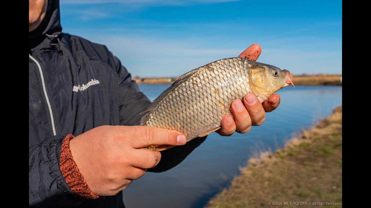 Вот это был КЛЕВ. НАЛОВИЛИ КУЧУ РЫБЫ смотреть онлайн