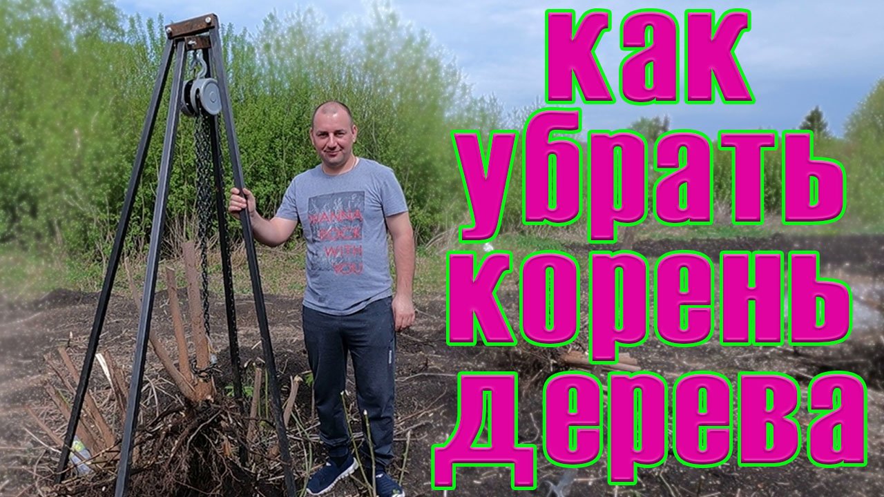 Пётр Кашков