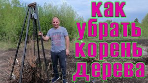 как убрать корень дерева / вырываем корень дерева навсегда