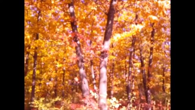 Стихотворение Осень смотреть онлайн