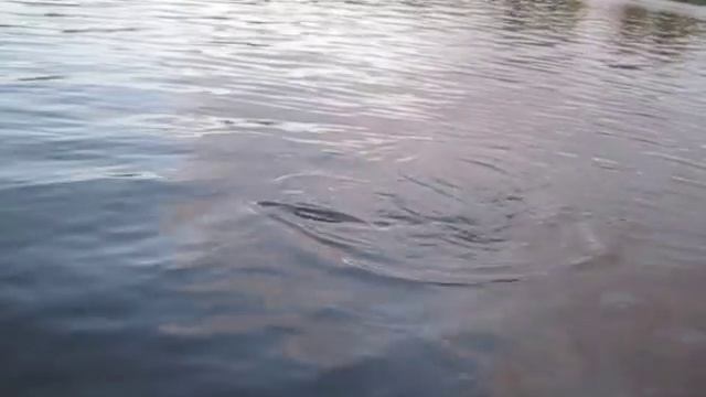 ПВХ 23.08.2013 смотреть онлайн