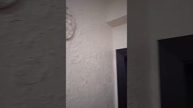 Комбинированная покраска стен, в кофейном цвете, верх- перламутр и низ-серебро. смотреть онлайн