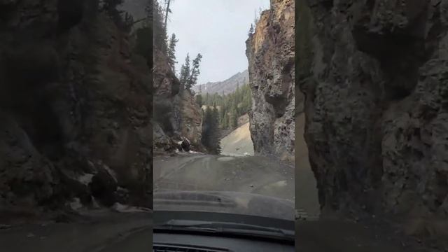 Красные ворота. Горный Алтай. смотреть онлайн