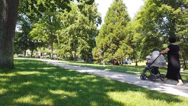 VLOG. Балтийское море. 1,5 часа от Гамбурга! Курорт Timmendorfer Strand. Океанариум. смотреть онлайн
