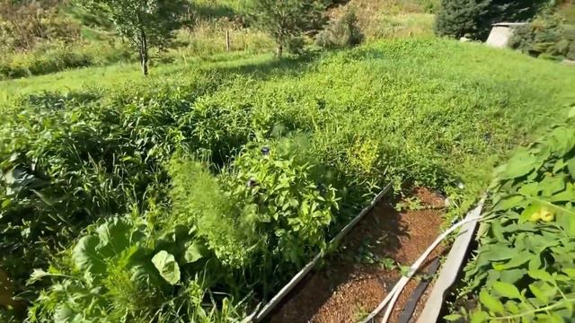 Алтай. Домик в долине свободы. Контакты дам, пиши ); смотреть онлайн