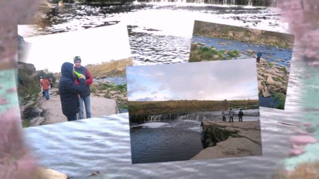 Выезд школьников в ООПТ Лисино корпус. смотреть онлайн