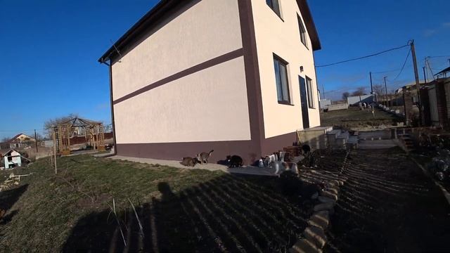 Обледенели. Чеснок с грядки в феврале. Гостагаевская смотреть онлайн