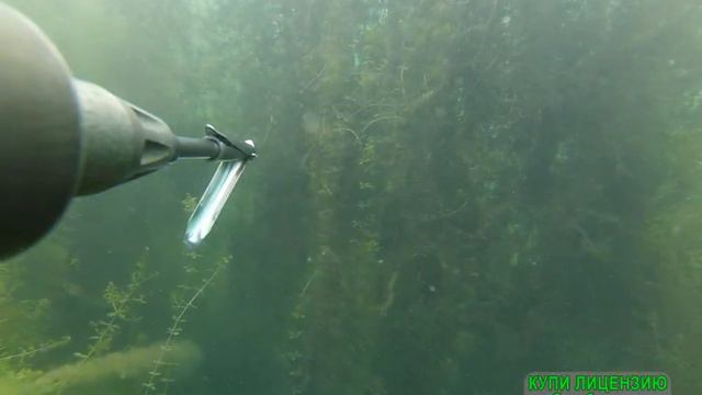 Жуковский карьер.Подводная охота в июле