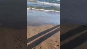 Хазбик Говорит Ты Дурак Что ли