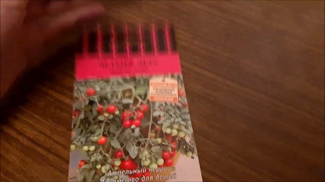 ПЕТУНИЯ И ДРУГИЕ ЦВЕТЫ / ПОМИДОРЫ / НЕ МАСТЕР КЛАСС смотреть онлайн