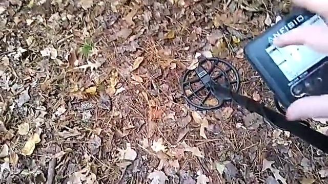 Nokta Anfibio 19 Metal Detector