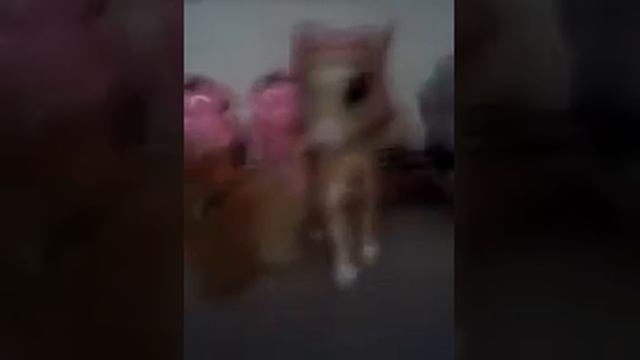 Ошибка сценария смотреть онлайн