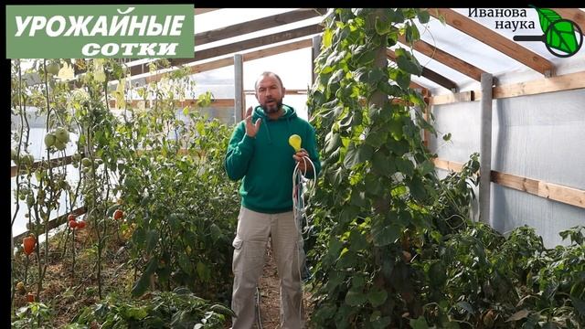 УНИЧТОЖЕНИЕ БЕЛОКРЫЛКИ без химии, клея и препаратов. Самый простой способ. смотреть онлайн