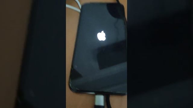 прошу помогите,iphone x включается и выключается на зарядке смотреть онлайн