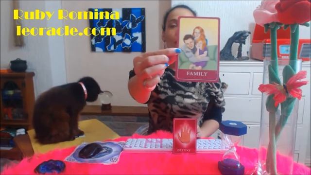 15: Oracle Card Reading Mon 9th Nov To Sun 15th Nov смотреть онлайн