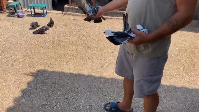 Путешествие на Юг Донбасса - Азовское Море - Безыменное. смотреть онлайн