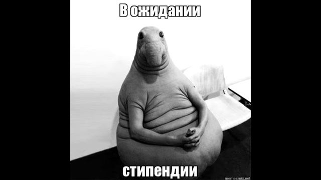 Отрывок одного дня жизни студента политехнического колледжа смотреть онлайн