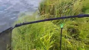 Рыбалка брянск озеро кубовая