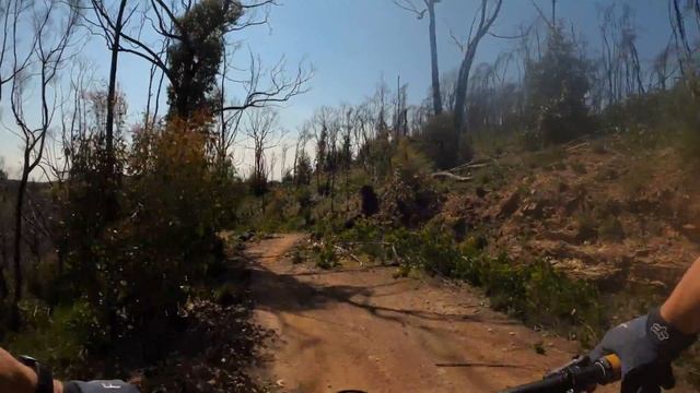 The Ducks Guts. Fox Creek Bike Park. GT Force 29 Elite. смотреть онлайн