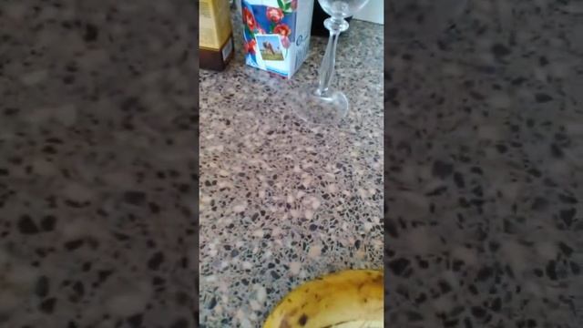 Шедевры Вкуса