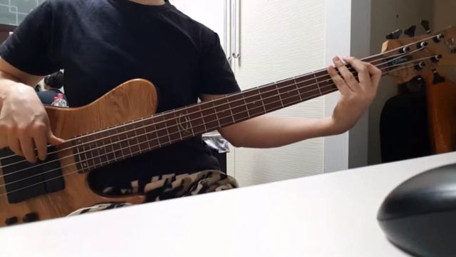 Roxette - It Must Have Been Love (bass cover) смотреть онлайн