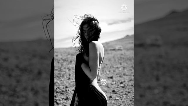 Besso - Old Accordion