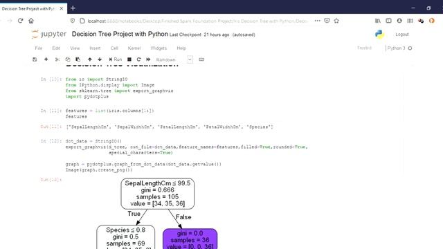 Decision Tree Project with Python Jupyter Notebook смотреть онлайн