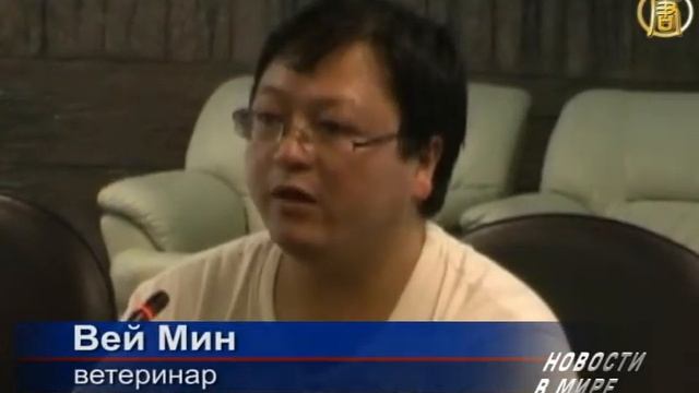 В зоопарке Таиланда родился детёныш панды смотреть онлайн