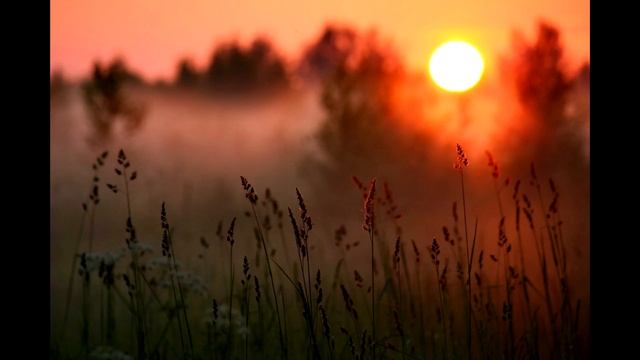 Журавль и цапля смотреть онлайн