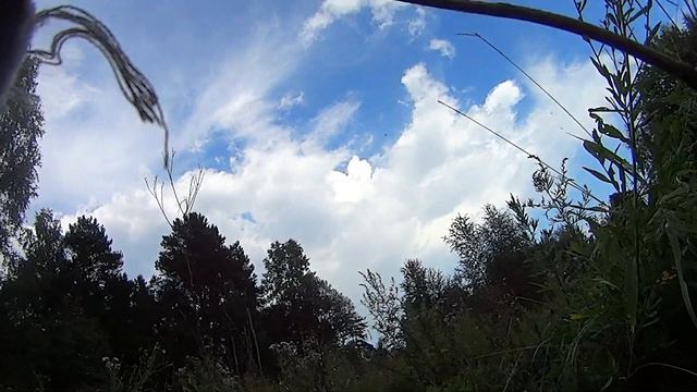 Страйкбол тренировки (передвижения) смотреть онлайн