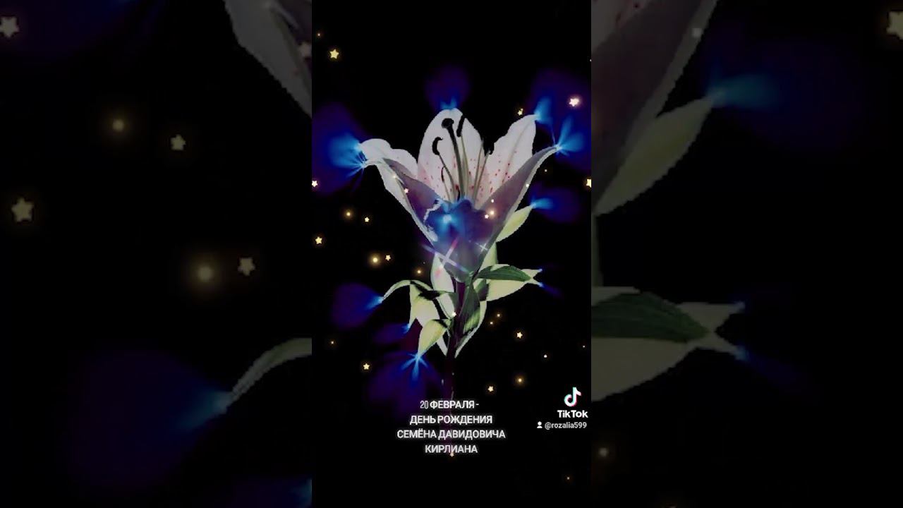 Памяти Семёна Давидовича Кирлиан смотреть онлайн