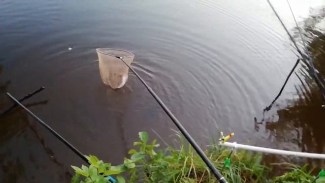 Река-Москва район Жуковский смотреть онлайн