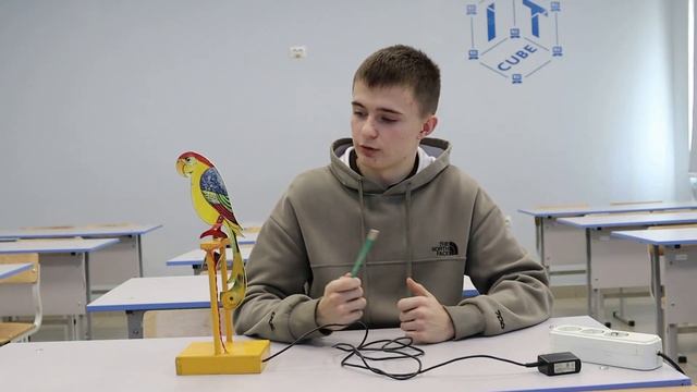 Живой попугай смотреть онлайн