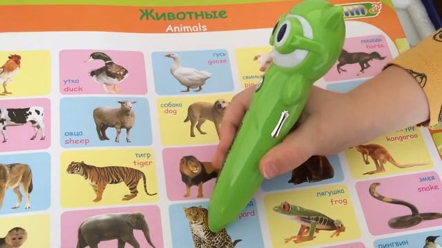 ОБЗОР на Интерактивный набор с говорящей ручкой Touch4learning. смотреть онлайн