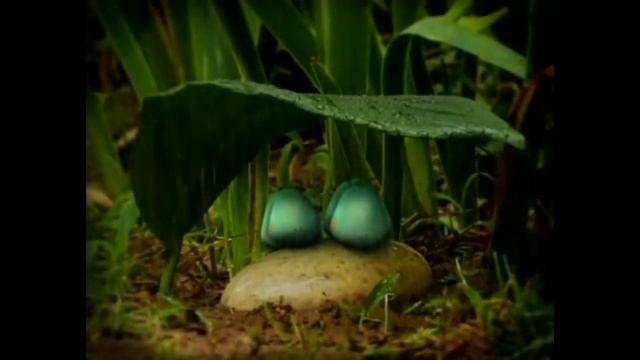 Из гусеницы в бабочку парусника-махаона! Выращиваю самостоятельно! смотреть онлайн