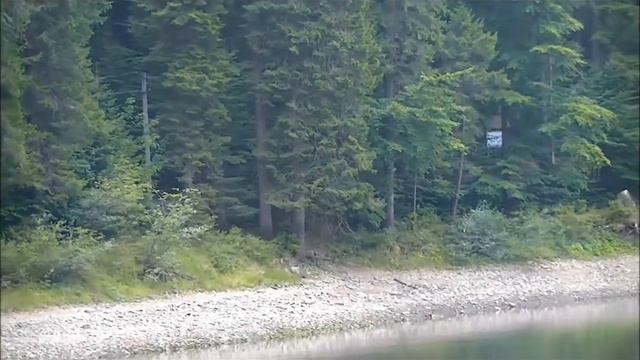 ЗОЛОТО КАРПАТ смотреть онлайн