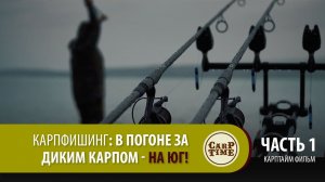 ⭐ Карпфишинг: В погоне за ДИКИМ КАРПОМ на ЮГ! Часть 1
