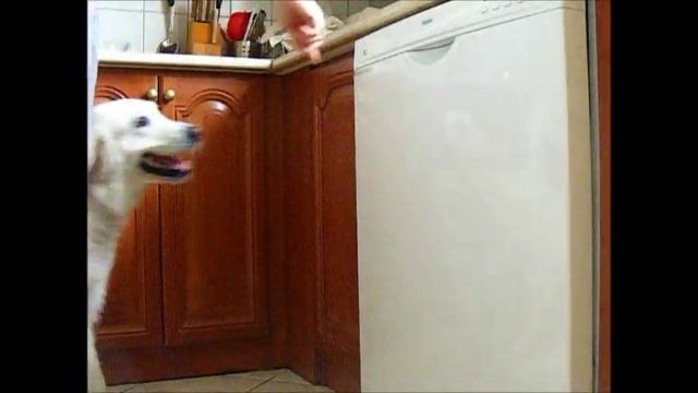 100tricks 100days#20 mosogatógép bekapcsolás :) смотреть онлайн