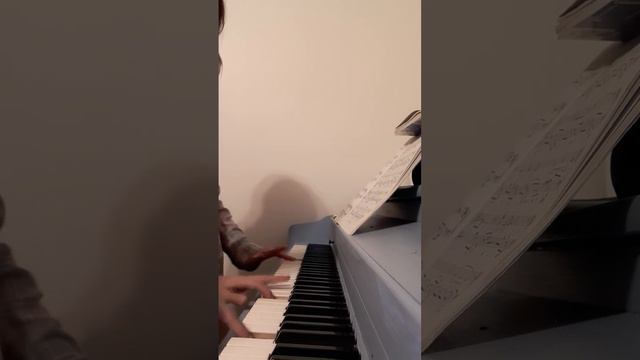 cat piano lessons #piano #animals #pianocat #kitten смотреть онлайн
