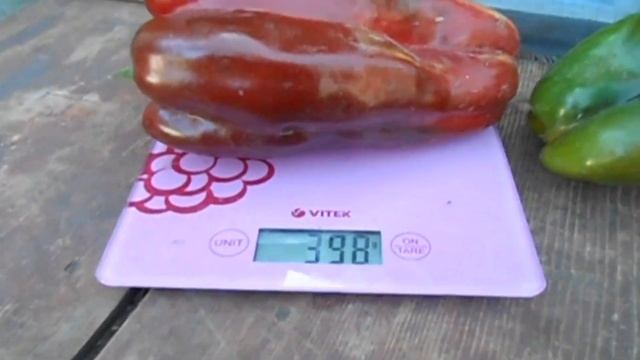 Клаудио F 1 Самый первый кубовидный перец смотреть онлайн