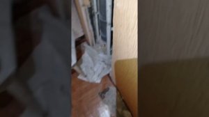 ⁉️Замена стояка Трубы Горячего водоснабжения в квартире через перекрытие