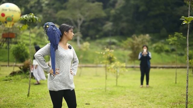 Jacqueline's Sanctuary | Rajah 2x ke Pohon! Sasha Bawel смотреть онлайн